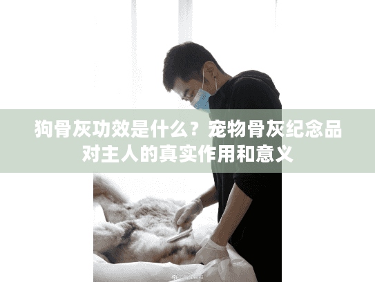 狗骨灰功效是什么？宠物骨灰纪念品对主人的真实作用和意义
