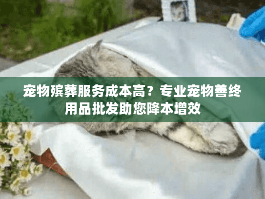 宠物殡葬服务成本高？专业宠物善终用品批发助您降本增效