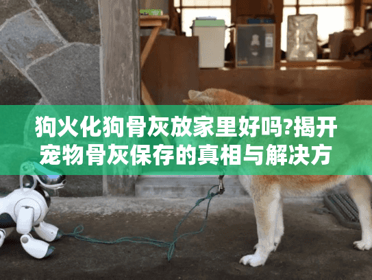 狗火化狗骨灰放家里好吗?揭开宠物骨灰保存的真相与解决方案