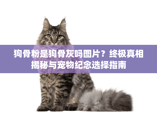 狗骨粉是狗骨灰吗图片？终极真相揭秘与宠物纪念选择指南