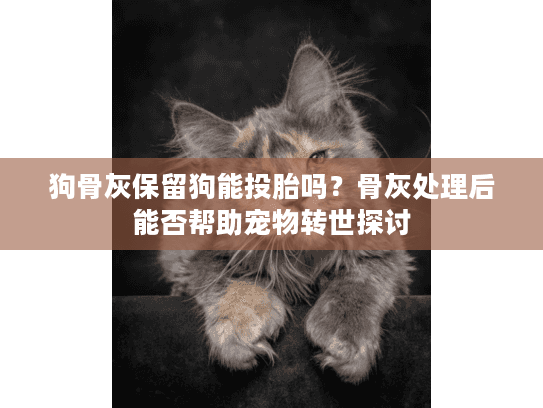 狗骨灰保留狗能投胎吗？骨灰处理后能否帮助宠物转世探讨