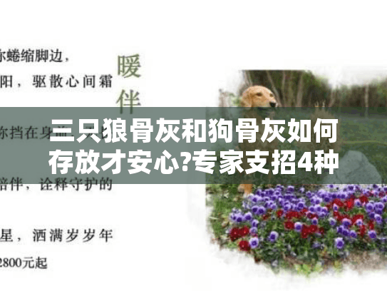 三只狼骨灰和狗骨灰如何存放才安心?专家支招4种暖心方案