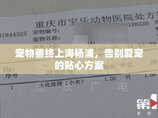 宠物善终上海杨浦，告别爱宠的贴心方案
