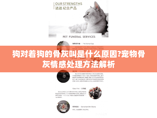 狗对着狗的骨灰叫是什么原因?宠物骨灰情感处理方法解析