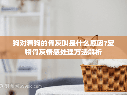 狗对着狗的骨灰叫是什么原因?宠物骨灰情感处理方法解析