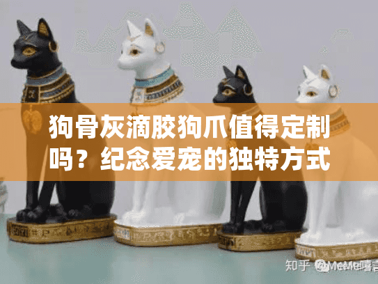 狗骨灰滴胶狗爪值得定制吗？纪念爱宠的独特方式全解析