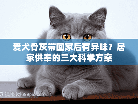 爱犬骨灰带回家后有异味？居家供奉的三大科学方案