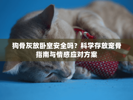 狗骨灰放卧室安全吗？科学存放宠骨指南与情感应对方案