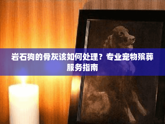 岩石狗的骨灰该如何处理？专业宠物殡葬服务指南