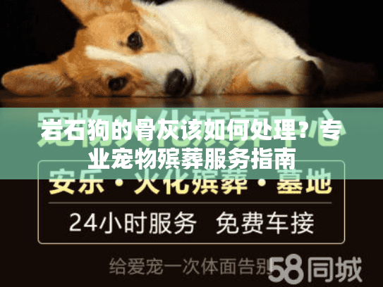 岩石狗的骨灰该如何处理？专业宠物殡葬服务指南