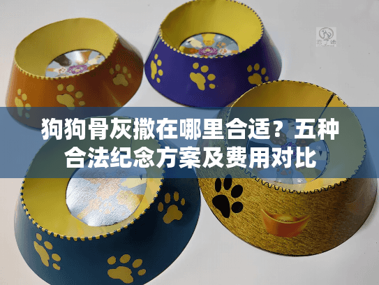 狗狗骨灰撒在哪里合适？五种合法纪念方案及费用对比