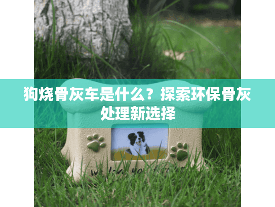 狗烧骨灰车是什么？探索环保骨灰处理新选择