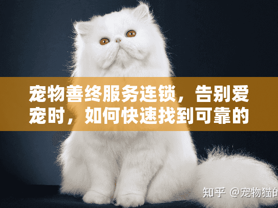 宠物善终服务连锁,告别爱宠时,如何快速找到可靠的全国连锁机构?