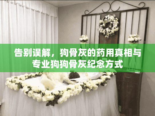 告别误解，狗骨灰的药用真相与专业狗狗骨灰纪念方式