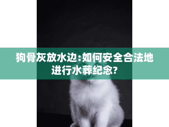 狗骨灰放水边:如何安全合法地进行水葬纪念?