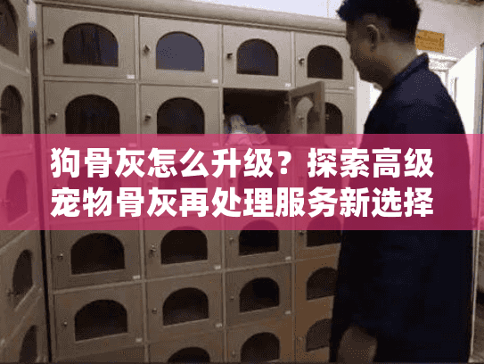 狗骨灰怎么升级？探索高级宠物骨灰再处理服务新选择