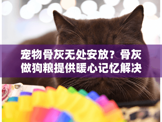 宠物骨灰无处安放？骨灰做狗粮提供暖心记忆解决方案