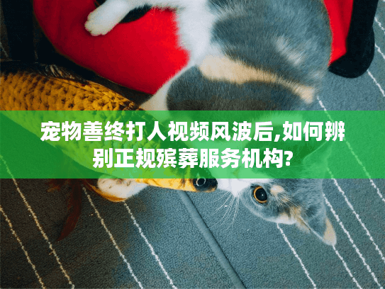 宠物善终打人视频风波后,如何辨别正规殡葬服务机构?