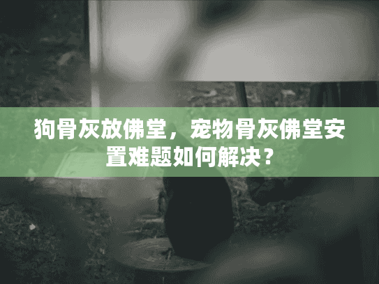 狗骨灰放佛堂，宠物骨灰佛堂安置难题如何解决？