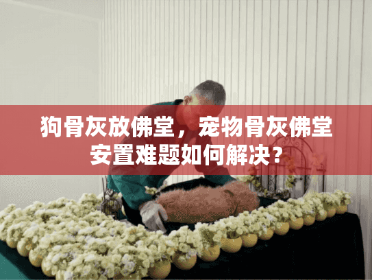 狗骨灰放佛堂，宠物骨灰佛堂安置难题如何解决？