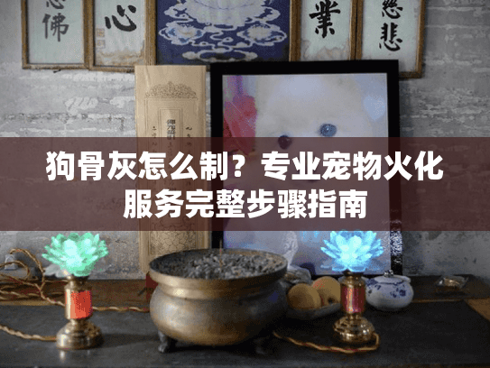 狗骨灰怎么制？专业宠物火化服务完整步骤指南