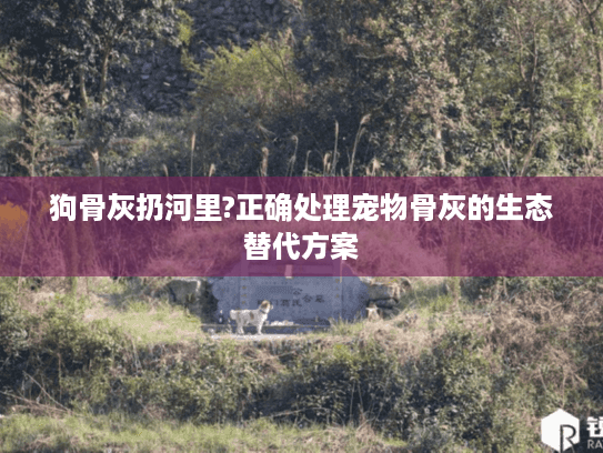 狗骨灰扔河里?正确处理宠物骨灰的生态替代方案