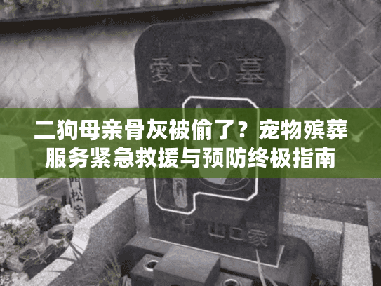 二狗母亲骨灰被偷了？宠物殡葬服务紧急救援与预防终极指南