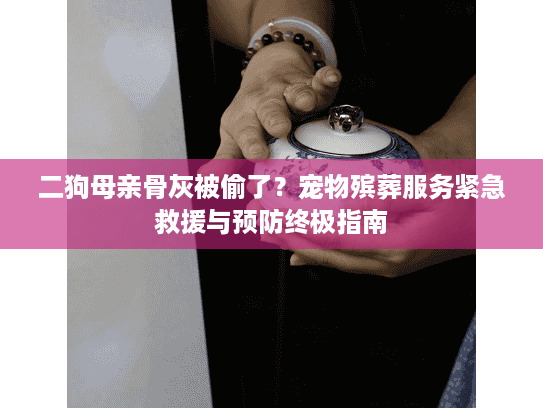 二狗母亲骨灰被偷了？宠物殡葬服务紧急救援与预防终极指南
