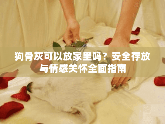 狗骨灰可以放家里吗？安全存放与情感关怀全面指南