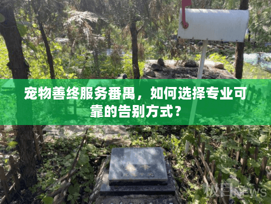 宠物善终服务番禺，如何选择专业可靠的告别方式？