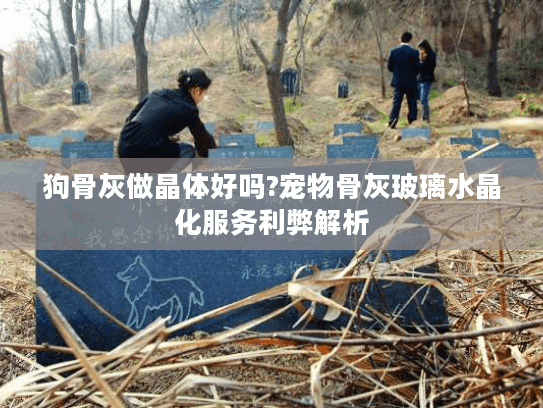 狗骨灰做晶体好吗?宠物骨灰玻璃水晶化服务利弊解析
