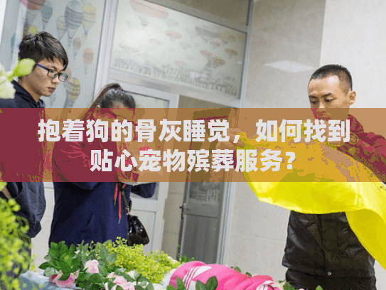 抱着狗的骨灰睡觉，如何找到贴心宠物殡葬服务？