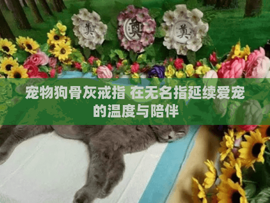 宠物狗骨灰戒指 在无名指延续爱宠的温度与陪伴