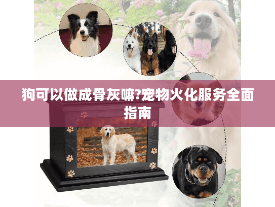 狗可以做成骨灰嘛?宠物火化服务全面指南