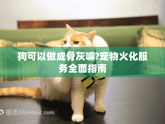 狗可以做成骨灰嘛?宠物火化服务全面指南