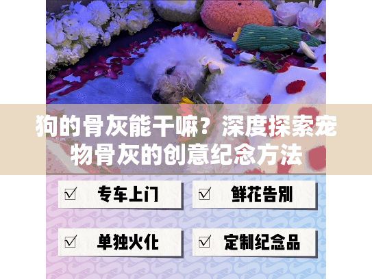 狗的骨灰能干嘛？深度探索宠物骨灰的创意纪念方法