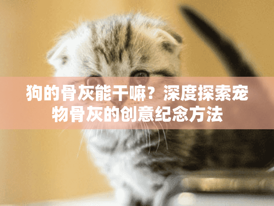 狗的骨灰能干嘛？深度探索宠物骨灰的创意纪念方法