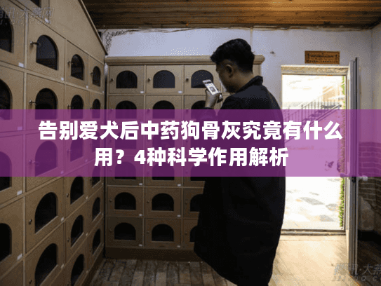 告别爱犬后中药狗骨灰究竟有什么用？4种科学作用解析
