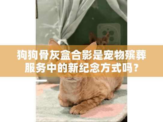 狗狗骨灰盒合影是宠物殡葬服务中的新纪念方式吗？