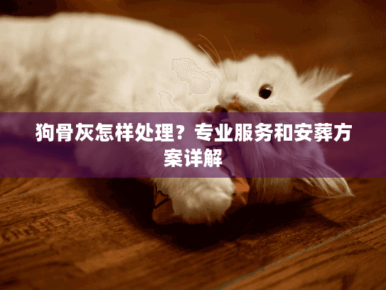 狗骨灰怎样处理？专业服务和安葬方案详解