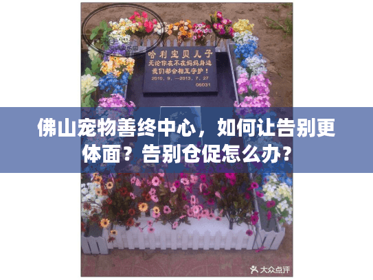 佛山宠物善终中心，如何让告别更体面？告别仓促怎么办？