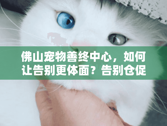 佛山宠物善终中心，如何让告别更体面？告别仓促怎么办？