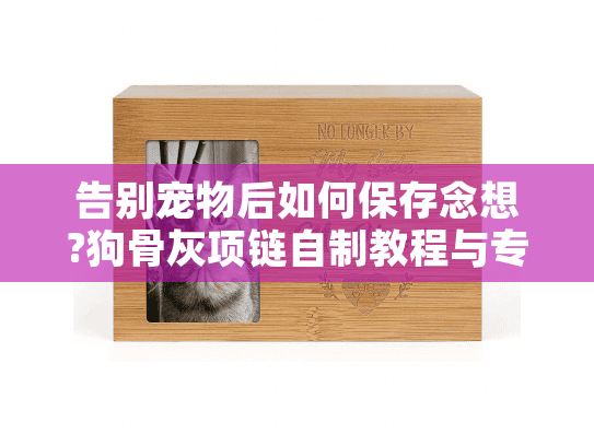 告别宠物后如何保存念想?狗骨灰项链自制教程与专业选择对比