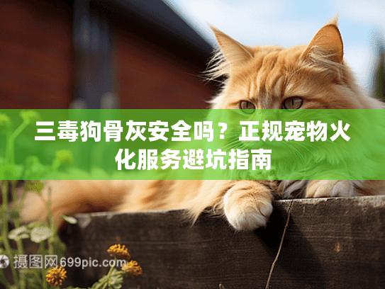 三毒狗骨灰安全吗？正规宠物火化服务避坑指南