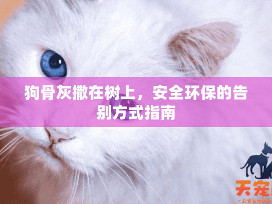 狗骨灰撒在树上，安全环保的告别方式指南