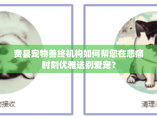 费县宠物善终机构如何帮您在悲痛时刻优雅送别爱宠？