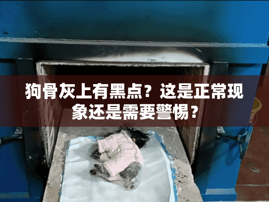 狗骨灰上有黑点？这是正常现象还是需要警惕？