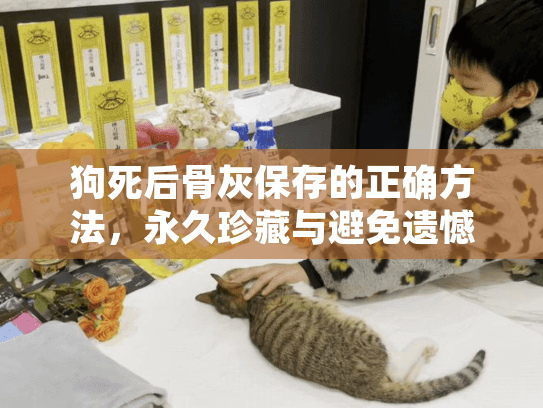 狗死后骨灰保存的正确方法，永久珍藏与避免遗憾的实用指南