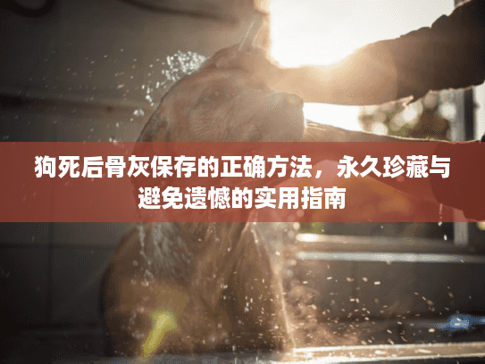 狗死后骨灰保存的正确方法，永久珍藏与避免遗憾的实用指南