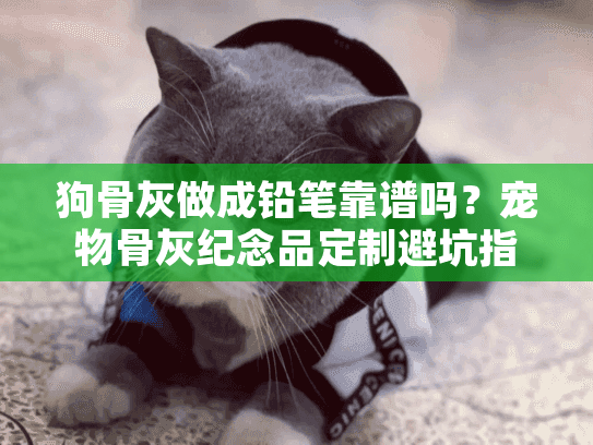 狗骨灰做成铅笔靠谱吗？宠物骨灰纪念品定制避坑指南